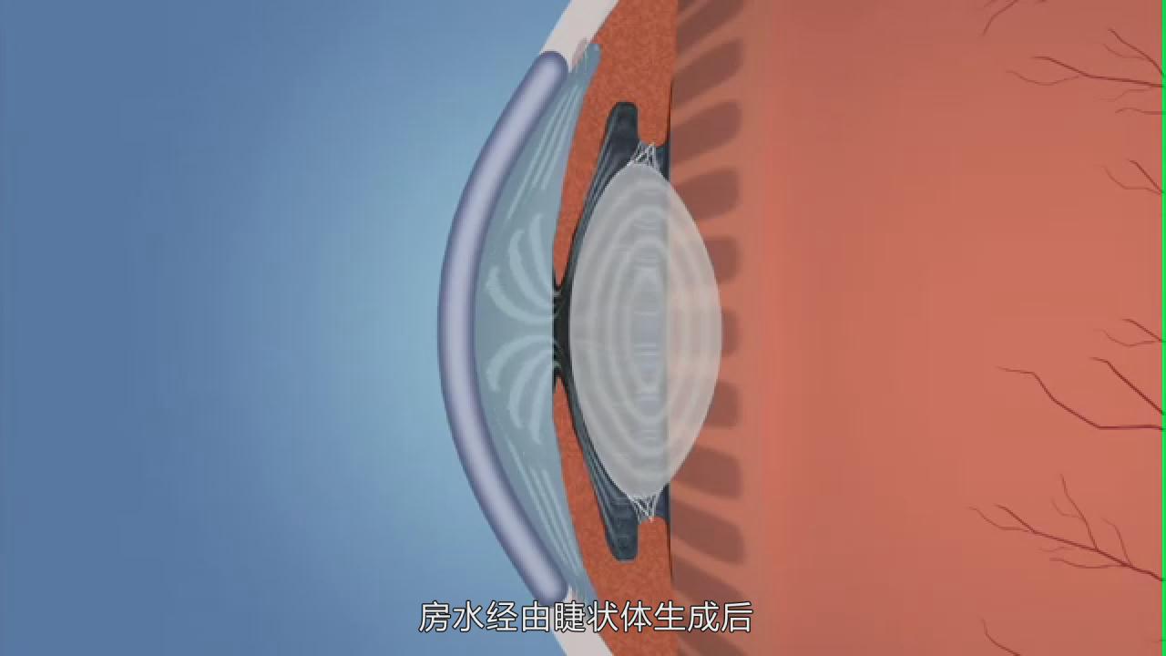 &#31859;&#20848;&#24179;&#21488;&#45;&#31859;&#20848;&#77;&#73;&#76;&#65;&#78;&#40;&#20013;&#22269;&#41;