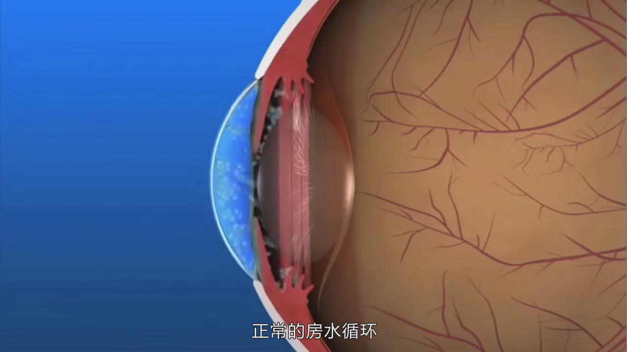 &#31859;&#20848;&#24179;&#21488;&#45;&#31859;&#20848;&#77;&#73;&#76;&#65;&#78;&#40;&#20013;&#22269;&#41;